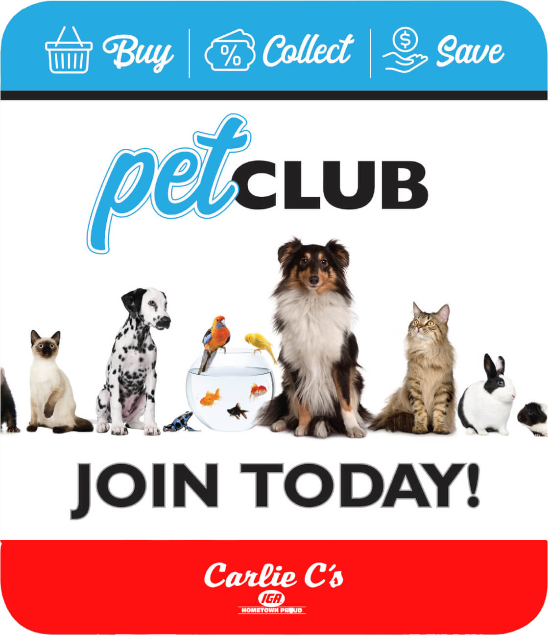 pet club